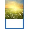 Pro Vision Tea Towel | 16" x 26" Thumbnail