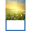 Pro Vision Tea Towel | 16" x 26" Thumbnail