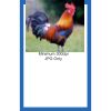 Pro Vision Tea Towel | 16" x 26" Thumbnail