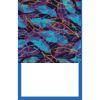 Pro Vision Tea Towel | 16" x 26" Thumbnail